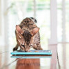 Lickimat Soother Treat Mat For Dogs & Cats Turquoise | Unitedpetworld.Com