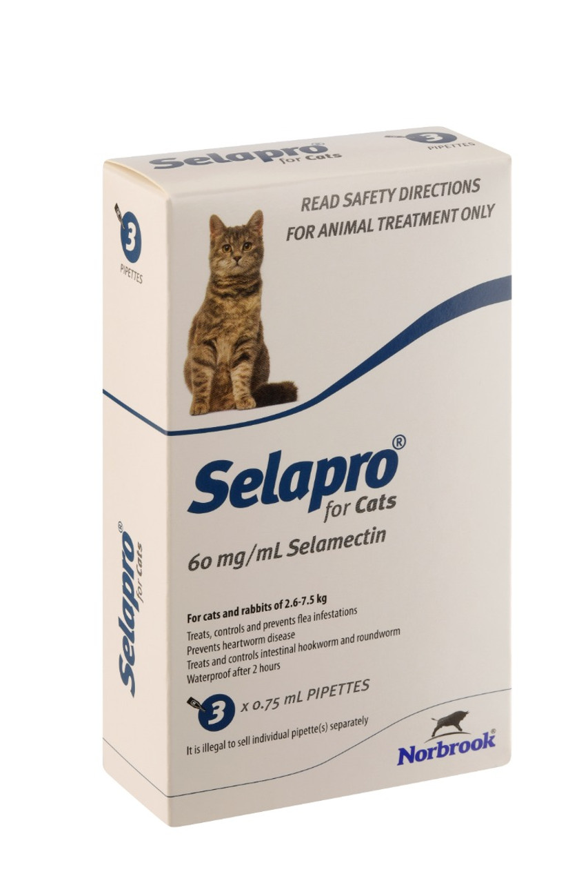 Selapro Flea & Heartworm Spot On Treatment For Cats 3 Pack | UnitedPetWorld.Com