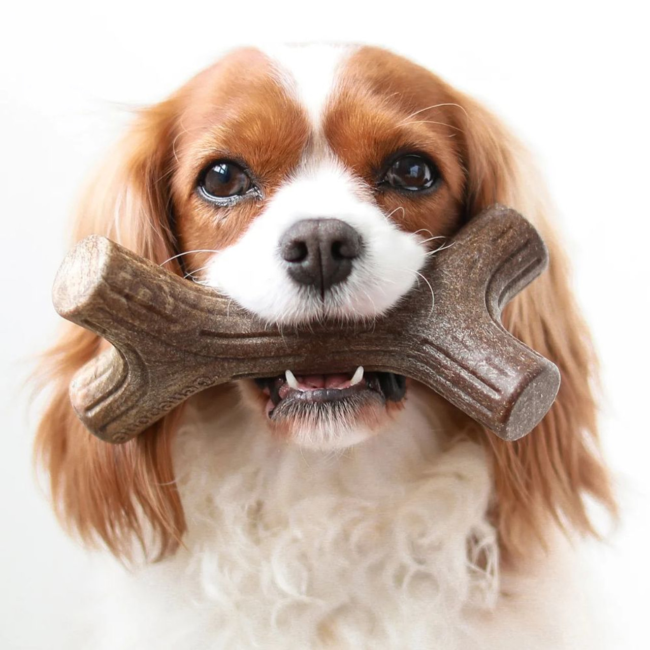 Benebone Bacon Stick Dog Chew Toy | Unitedpetworld.Com