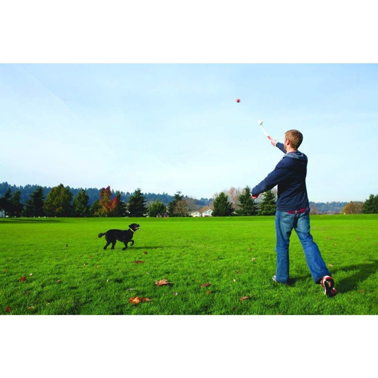 Chuckit! 18M Junior Launcher With Ultra Ball Dog Toy | Unitedpetworld.Com