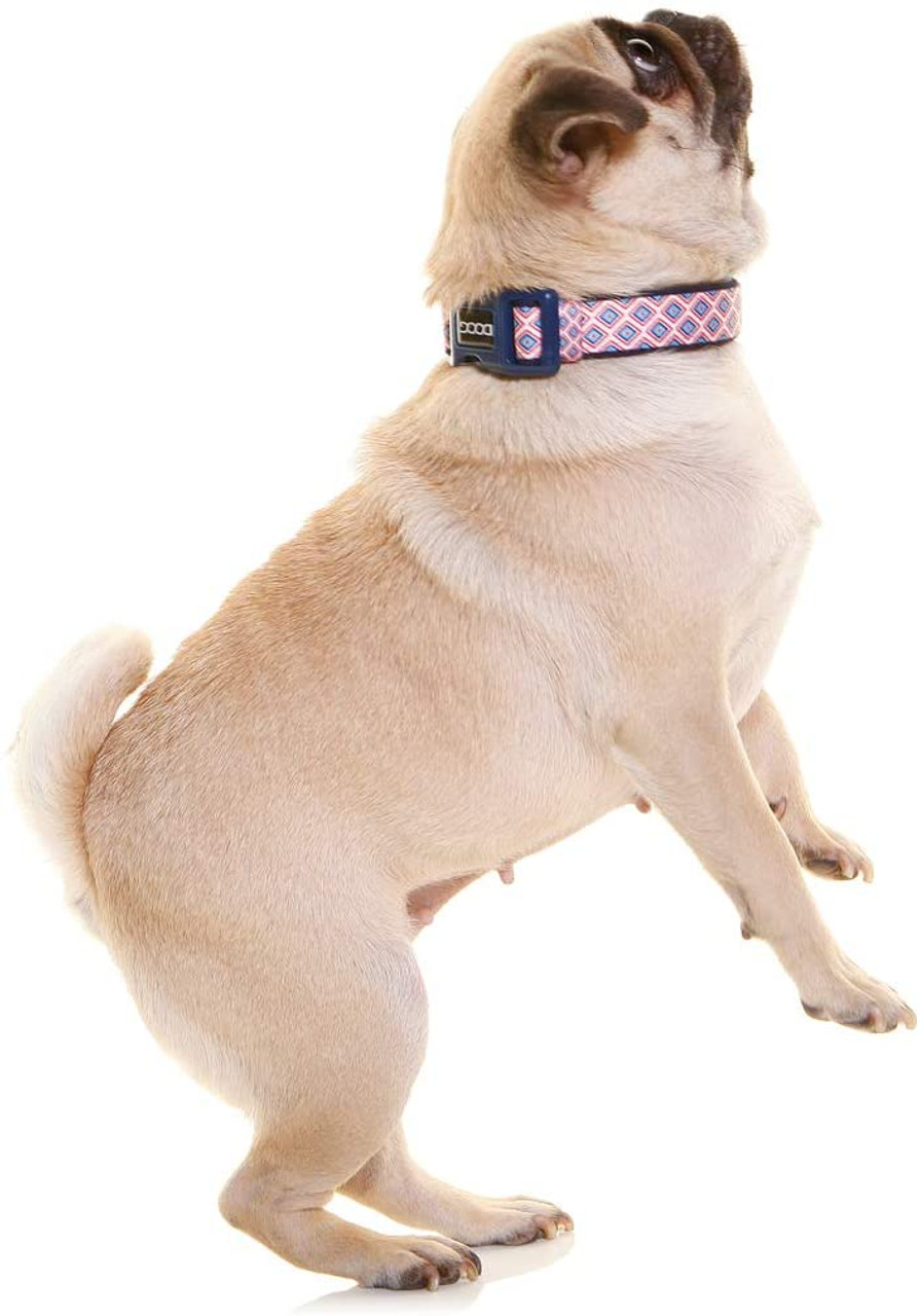 Doog Neoprene Dog Collar (Gromit - Navy White Red Chevron) | Unitedpetworld.Com