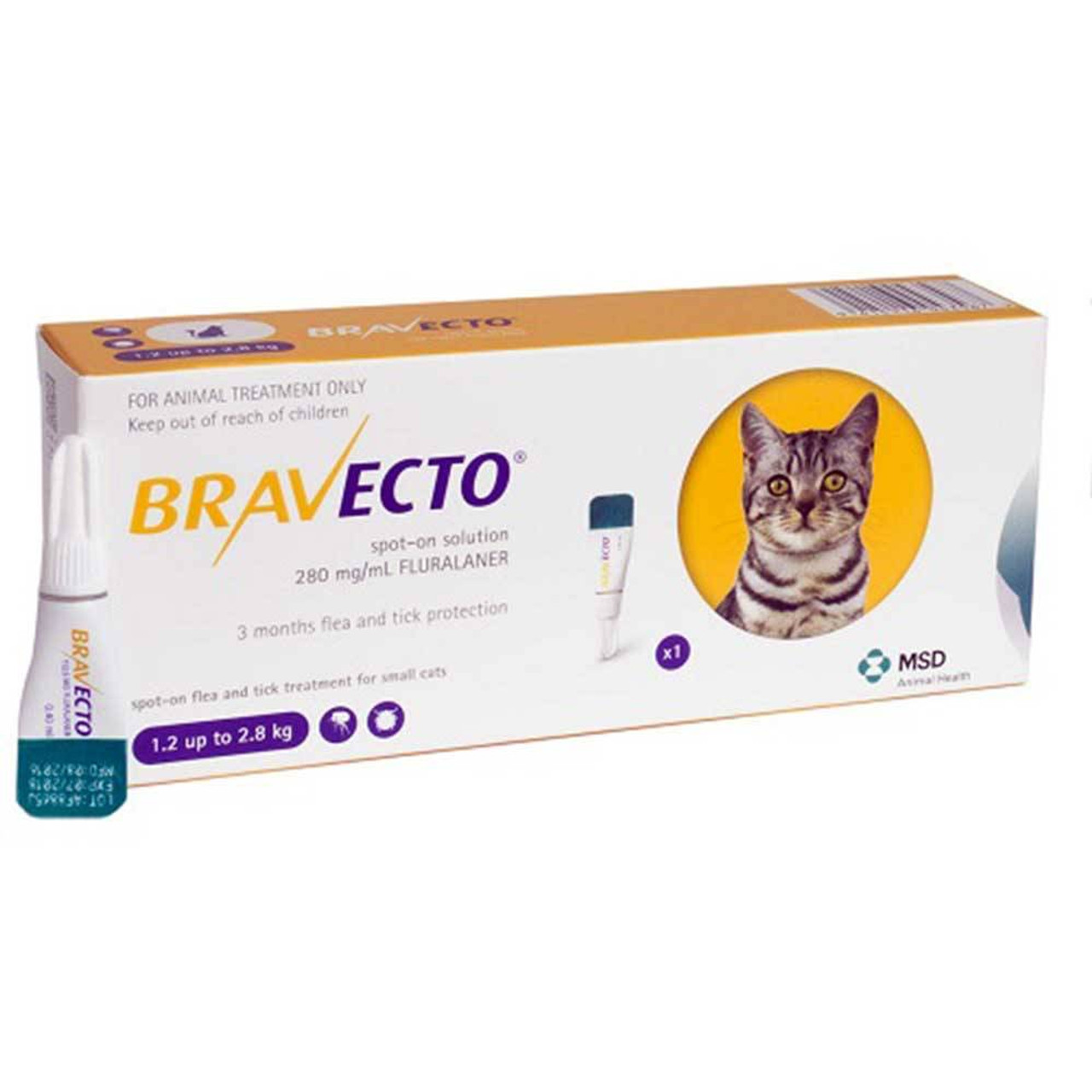 Bravecto® Spot-On solution for cats