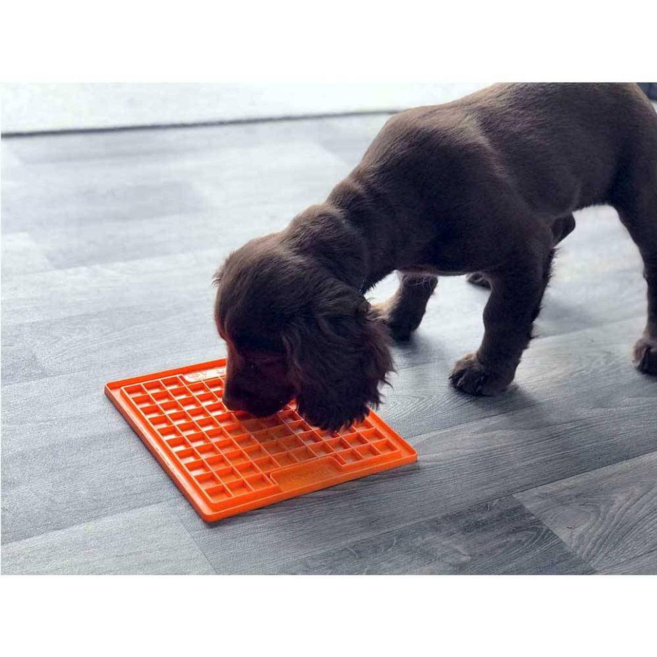 Lickimat Buddy Treat Mat For Dogs & Cats (DIFFICULTY LEVEL MEDIUM) Orange | Unitedpetworld.Com