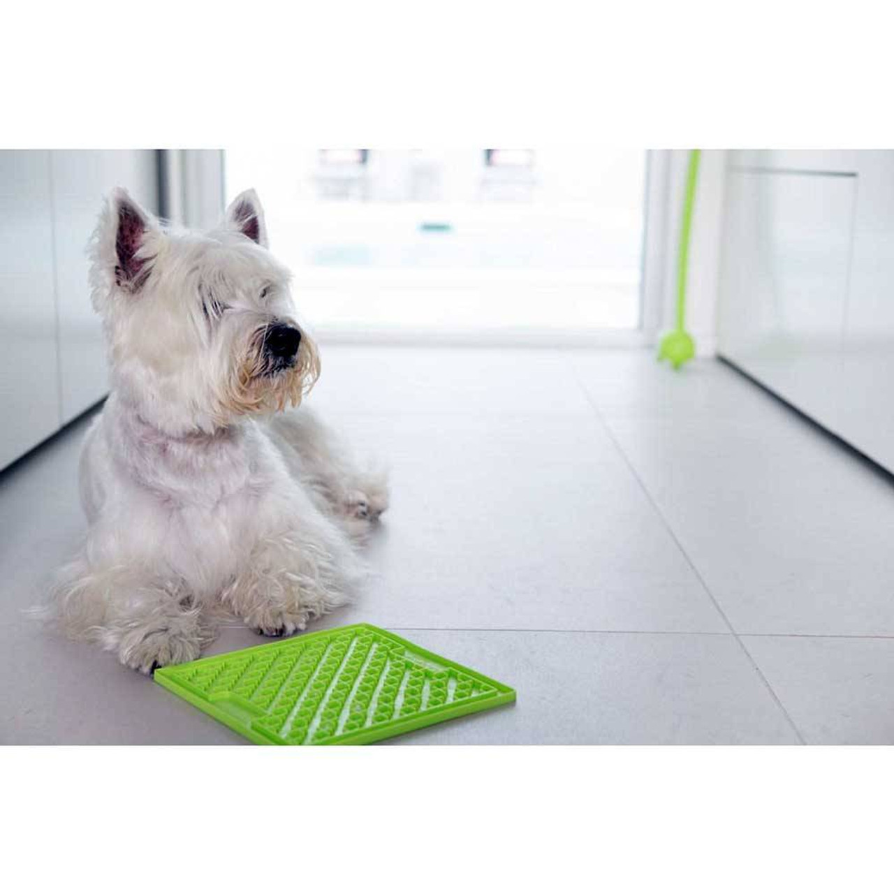 Lickimat Buddy Treat Mat For Dogs & Cats (DIFFICULTY LEVEL MEDIUM) Green | Unitedpetworld.Com