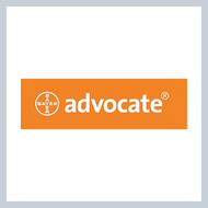 Advocate