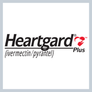 Heartgard