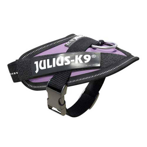Julius-K9 IDC-Powerharness For Dogs Purple | Unitedpetworld.Com