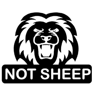 Lion Not Sheep Tee Lion Not Sheep Tee