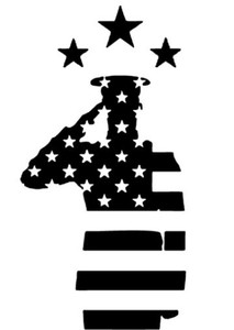 Saluting Flag Sticker