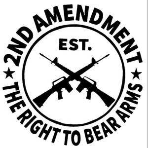 2nd Amendment Logo 2nd Amendment Logo