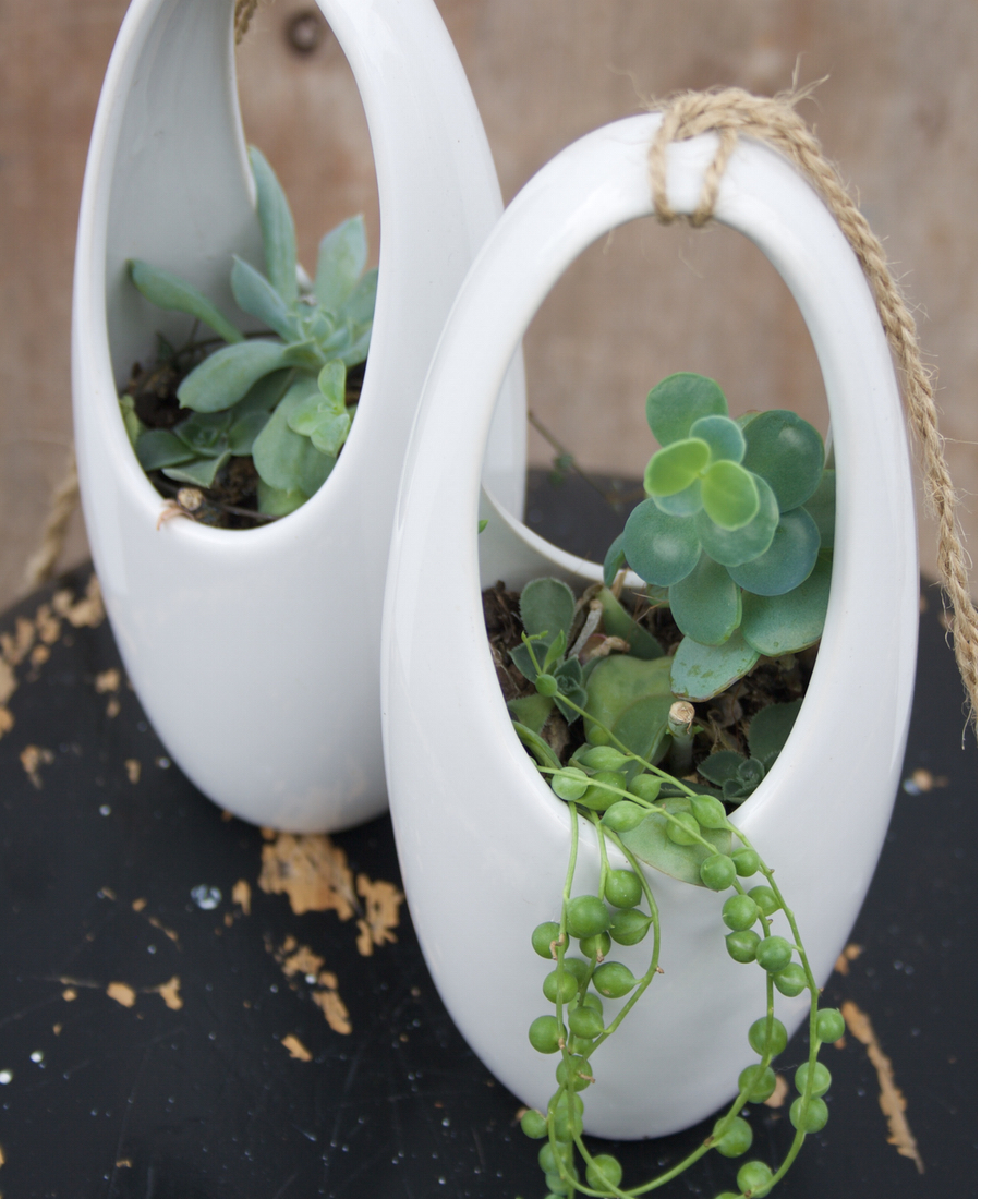 Hanging Tear Drop terrarium