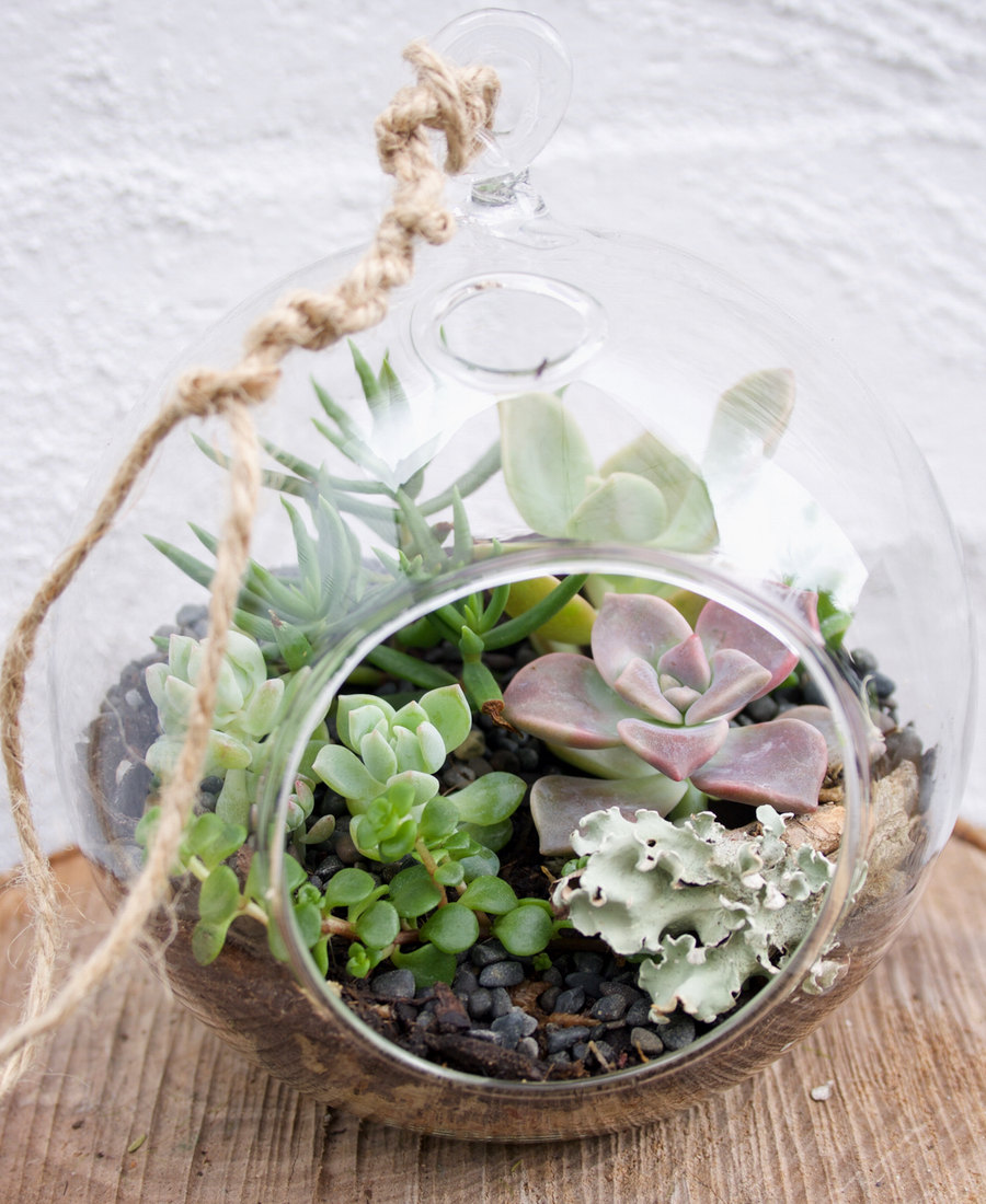 Terrarium Hanging Ball 