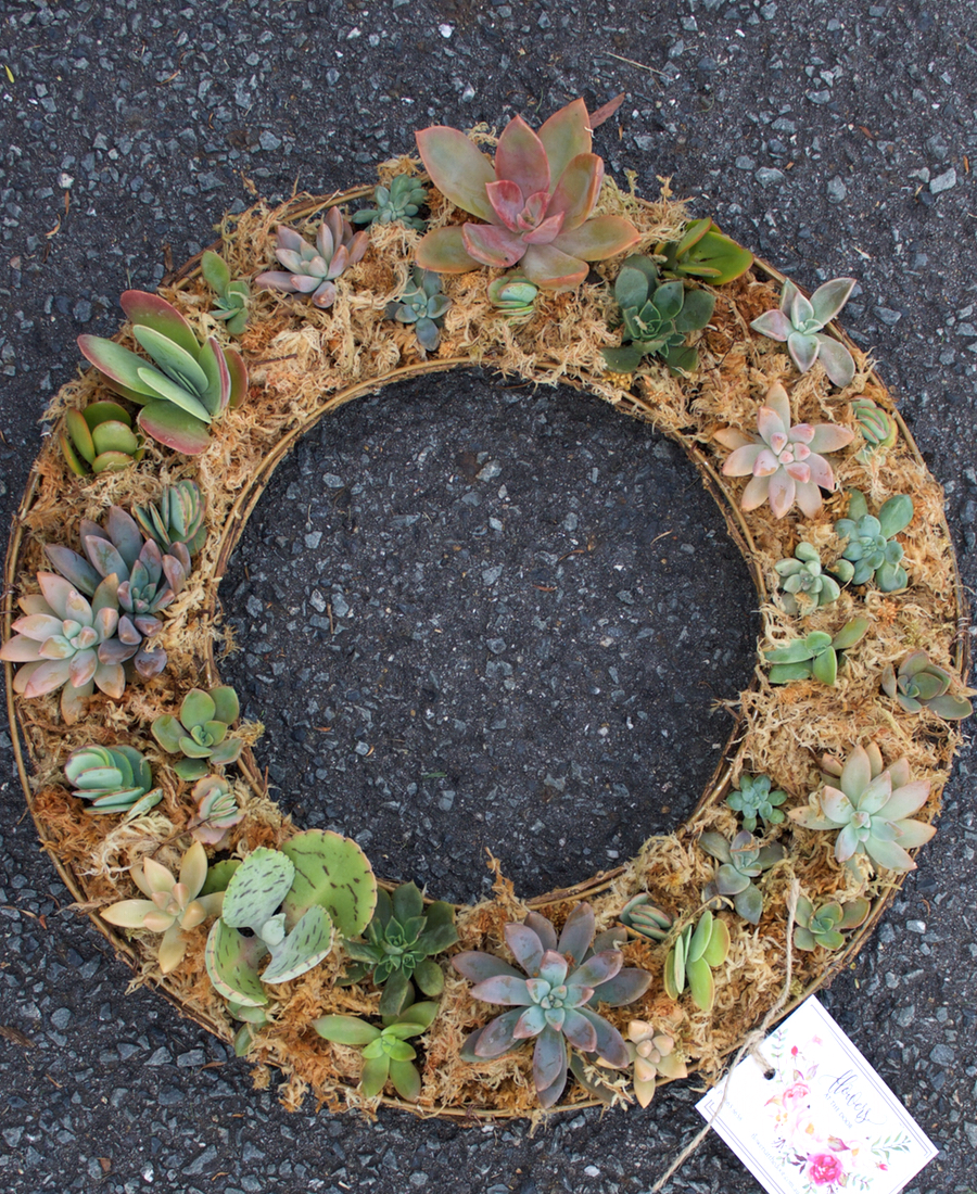 Living Wreath of mixed succulents