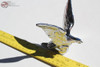 Chrome American Eagle Novelty Hood Ornament Custom Truck Chevy Hot Rat Rod New