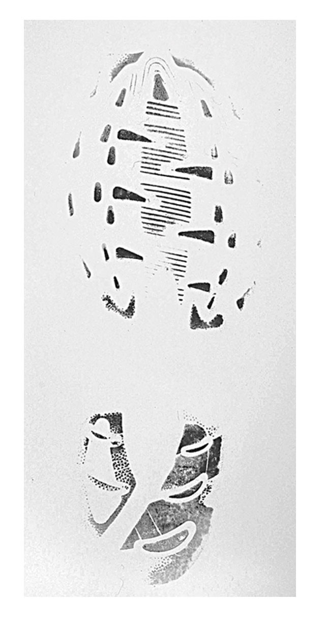 Quickprints for Collecting Known Footprints 6
