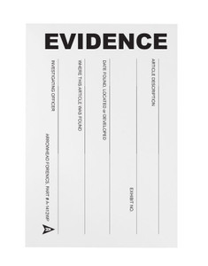 6" x 9" Preprinted Evidence Envelope