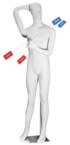 Trajectory Tom and Trajectory Tasha Forensic Mannequins Trajectory Tom and Trajectory Tasha Forensic Mannequins