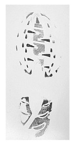 Quickprints for Collecting Known Footprints & Tire Tracks