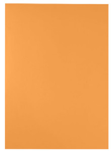 10” x 13” x-large evidence envelope 10” x 13” x-large evidence envelope
