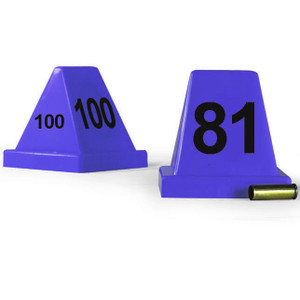 blue versa cones 81-100