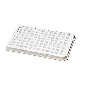 96 well Lightcycler, PCR plate, white