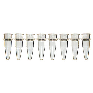 0.2 mL 8-Strip PCR Tubes (Tubes only), Clear | Arrowhead Forensics