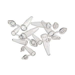 Individual PCR Tubes