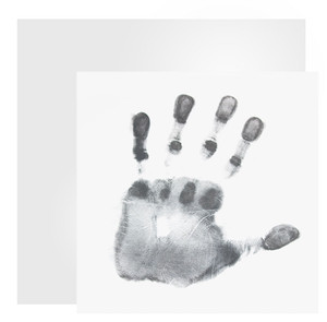 8" x 8" Quickprint for Collecting Known Palmprints 8" x 8" Quickprint for Collecting Known Palmprints