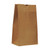 8" x 5.25" x 15.5" Plain Paper Evidence Bag 8" x 5.25" x 15.5" Plain Paper Evidence Bag