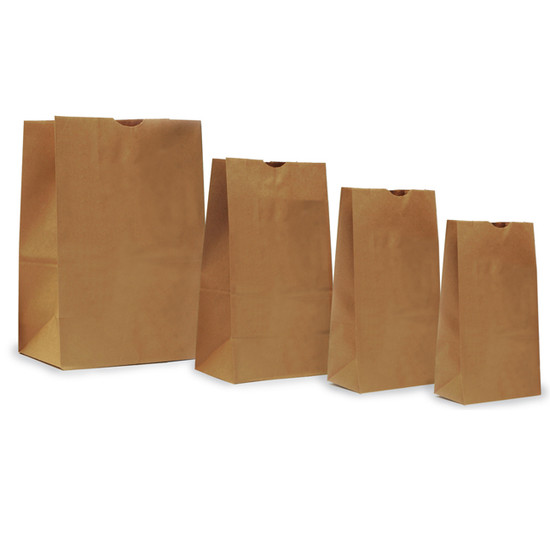 Plain Paper Evidence Bags