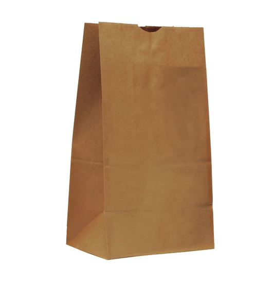 8" x 5.25" x 15.5" Plain Paper Evidence Bag