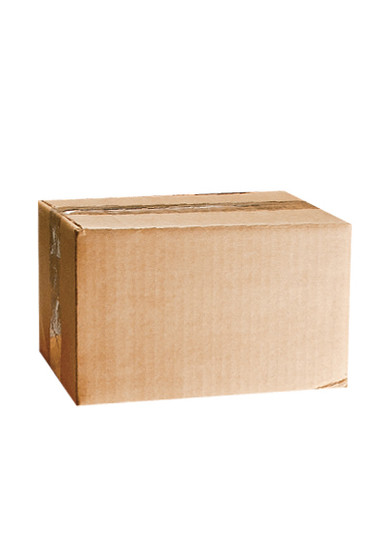Large Kraft Evidence Box 13” x 10” x 5”