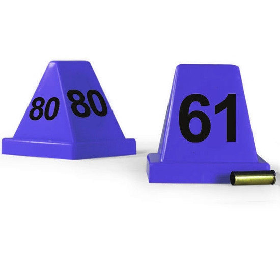 blue versa cones 61-80
