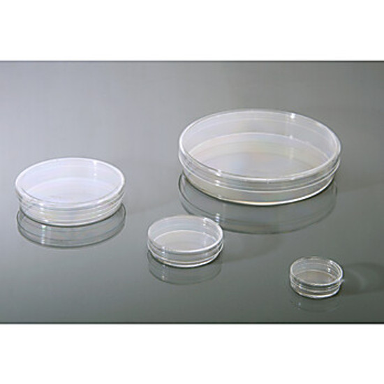 multiple sizes of petri dishes