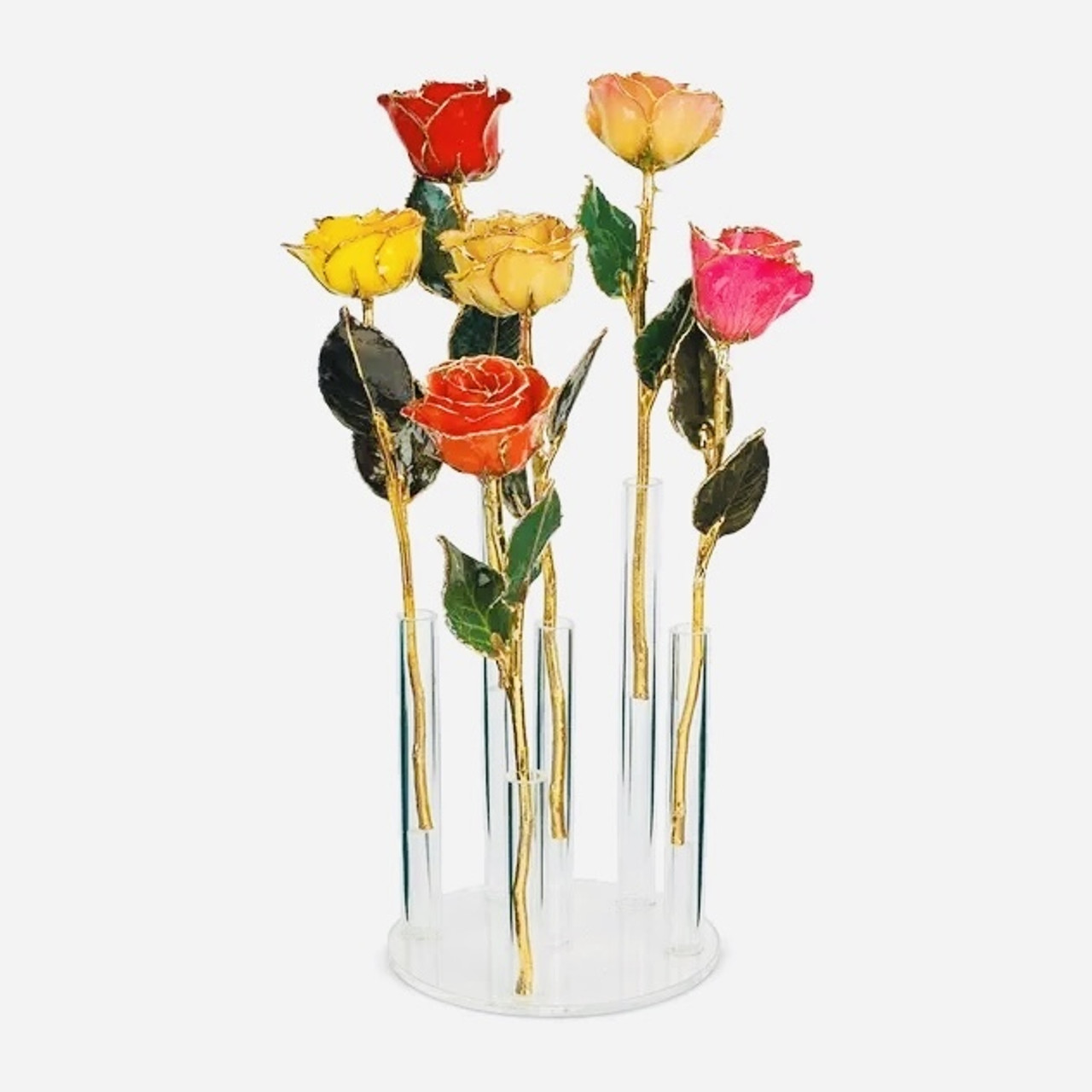 Gold Dipped Roses