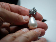 DNA Fingerprinting Is Used to Determine Origin of Natural and Cultured Pearls