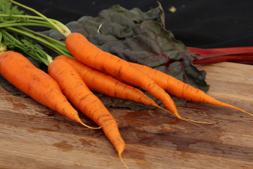 Imperator Carrot