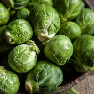 Brussels Sprouts Catskill
