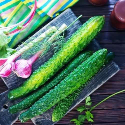 Chinese Snake Cucumber - The Seedstead