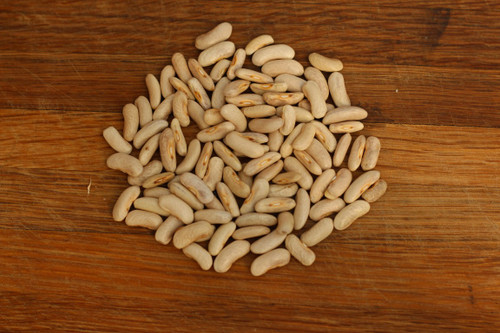 Contender Bush Beans
