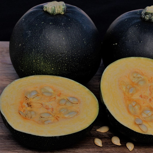 Rolet Gem Squash