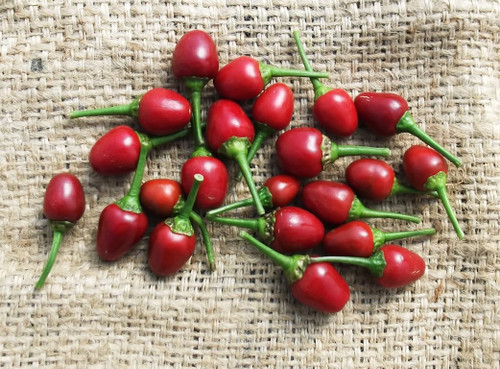 Mayan Love Pepper