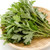 Mugwort