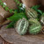 Bush Hog Cucumber