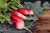 French Breakfast Radish