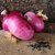 Red Creole Onions
