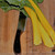 Canary Yellow Swiss Chard