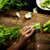Celery Tall Utah