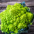 Romanesco Broccoli