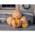 Amish Pie Squash